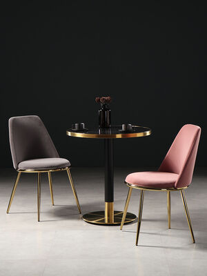 Outdoor Gold Metal Frame Dining Chairs Minimalist North European Style Dining Set Comfortable